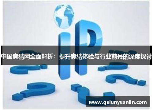 中国竞猜网全面解析：提升竞猜体验与行业前景的深度探讨