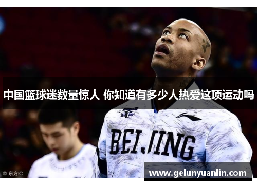 中国篮球迷数量惊人 你知道有多少人热爱这项运动吗