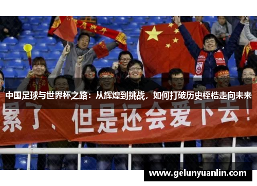 中国足球与世界杯之路：从辉煌到挑战，如何打破历史桎梏走向未来