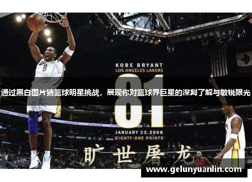 通过黑白图片猜篮球明星挑战，展现你对篮球界巨星的深刻了解与敏锐眼光