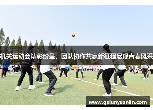 机关运动会精彩纷呈，团队协作共赢新征程展现青春风采