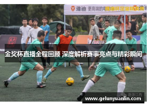 金奖杯直播全程回顾 深度解析赛事亮点与精彩瞬间